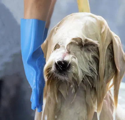 Pet Grooming Gloves Outlet Store